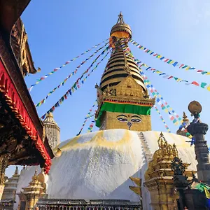 House Of Forrest, Service Kathmandu